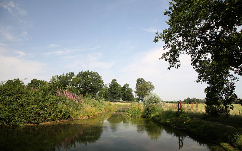 The Serpentine Lake Hylands Estate