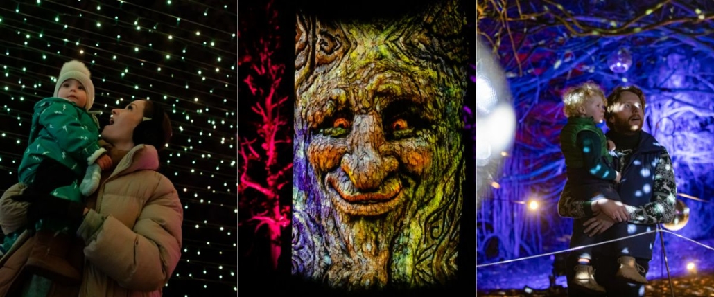 Visitors enjoying Enlightened at Hylands.