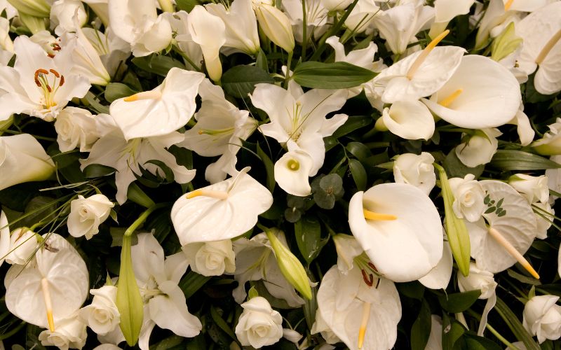 A white floral bouquet with lilies and roses.