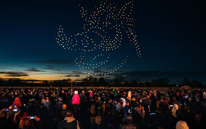 Drones making the shape of an animal in the sky.